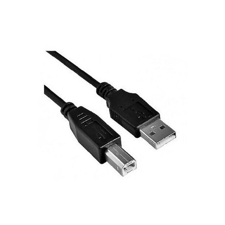 Câble USB 2 M (type AB)